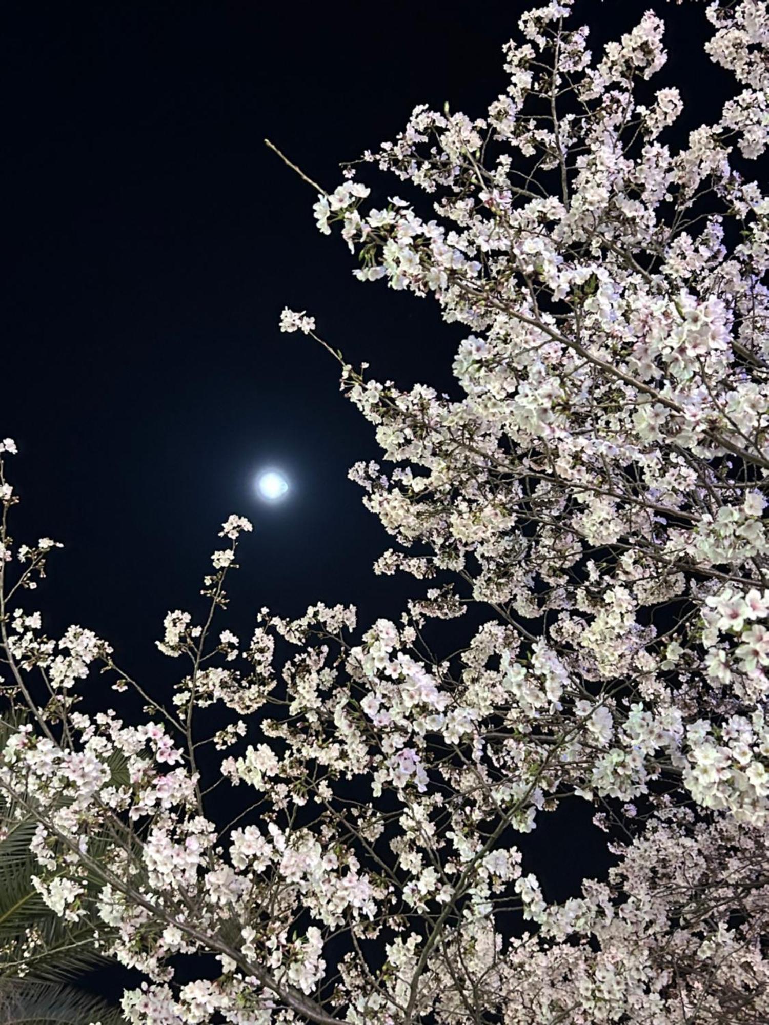 Ryoso Chatani Kyoto Exterior photo