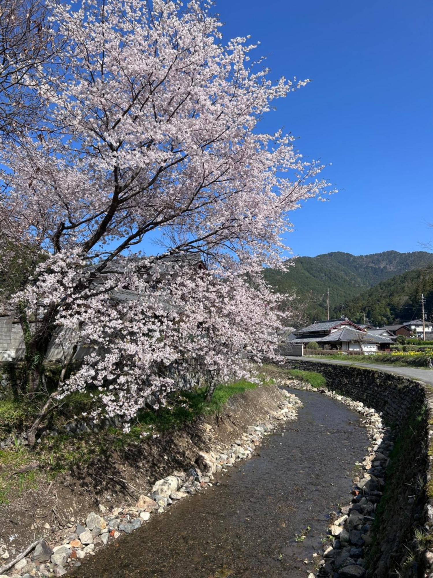 Ryoso Chatani Kyoto Exterior photo